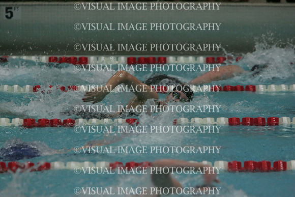 wiswg09_1free_1015