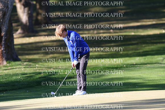 ILGF_24_T208012