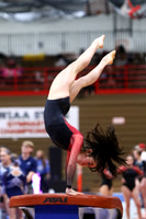 WIGYMG25_VAULT_T015