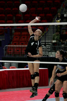 semifinals