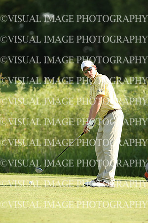 wigf_10_t22010