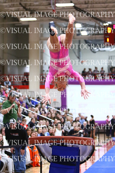 WIGYMG25_VAULT_I039