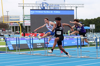 110m Hurdles