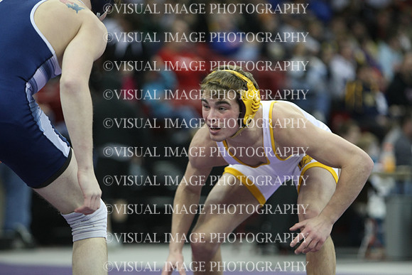 wiwr10_135_f2013