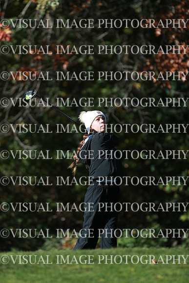 WIGFG_24_F10039