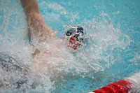 wisw10_2med_2013