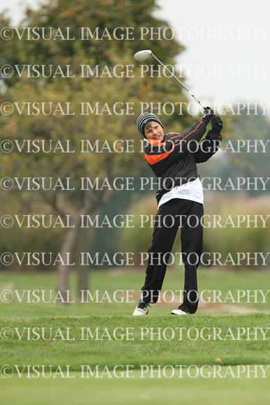 ILGF_13_T102013