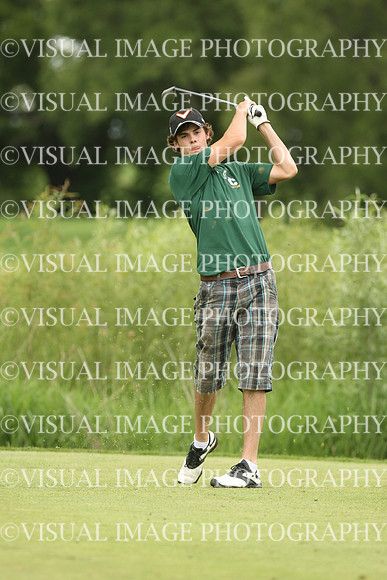 wigf_10_t32013