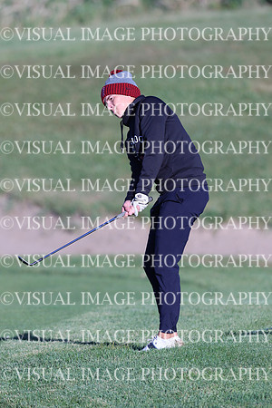 ILGF_24_T3020018