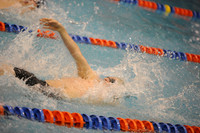 ILSW12_100BACK_F016