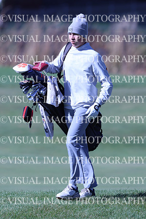ILGF_24_T3120005