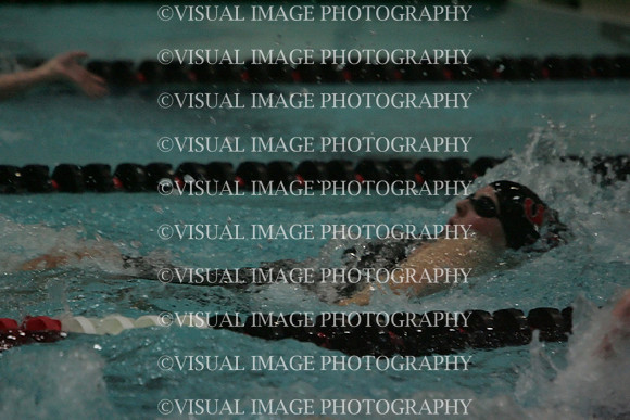 wiswg09_1back_2009