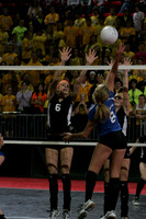 wisc_09_s31014