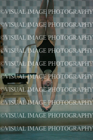wiswg09_dive_2028