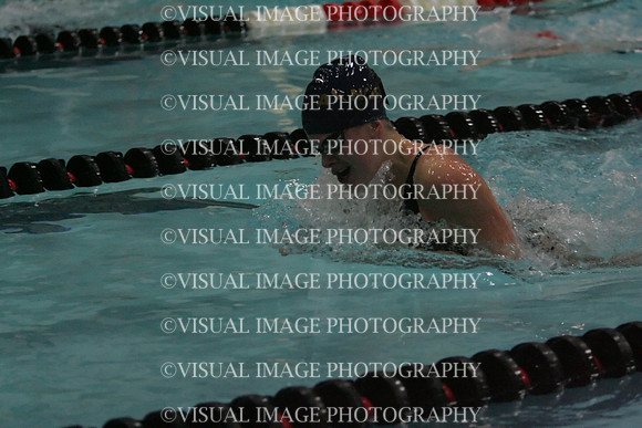 wiswg09_1breast_1021
