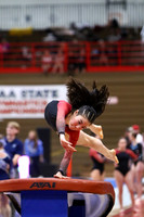 WIGYMG25_VAULT_T013