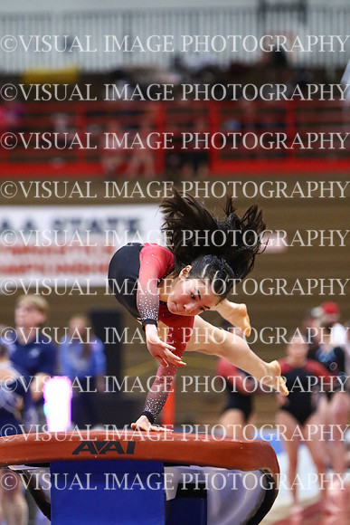 WIGYMG25_VAULT_T013