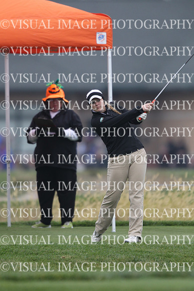ILGFG_13_IND10015