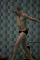 wisw10_dive_2008
