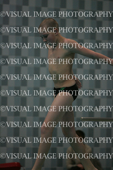 wisw10_dive_2008