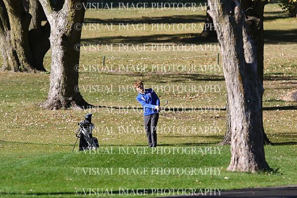 ILGF_24_T208006