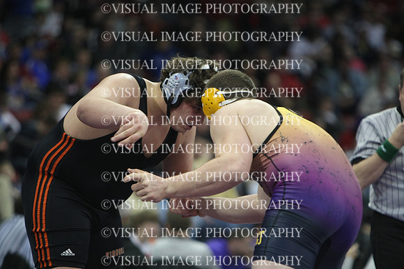 wiwr10_285_s2015