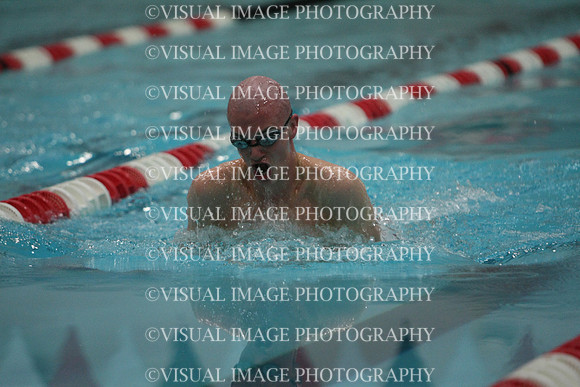 wisw10_1breast_1003