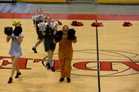 TDIHS12_POM_14005