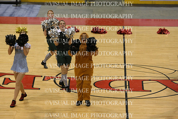 TDIHS12_POM_14005