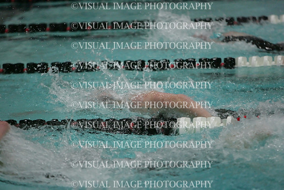 wisw09_2free_2050