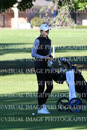 ILGFG_24_IND20008