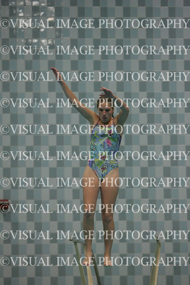 wiswg09_dive_2030
