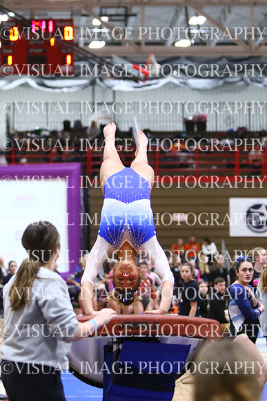 WIGYMG25_VAULT_I035