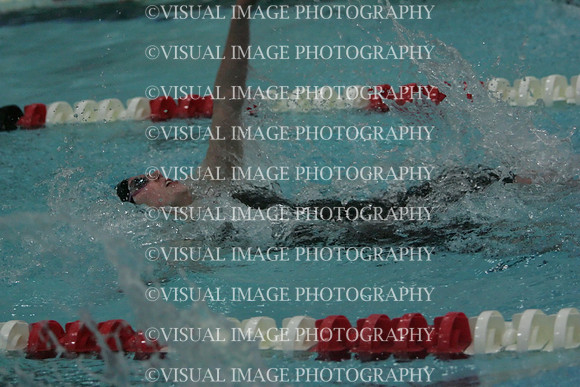 wiswg09_1back_2017