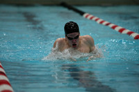 wisw10_1breast_2013
