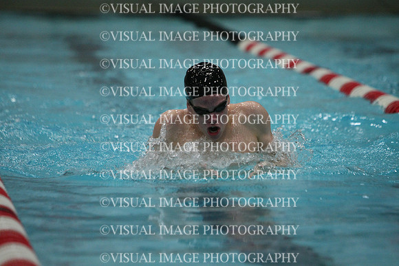 wisw10_1breast_2013