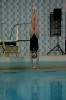 wiswg09_dive_2004