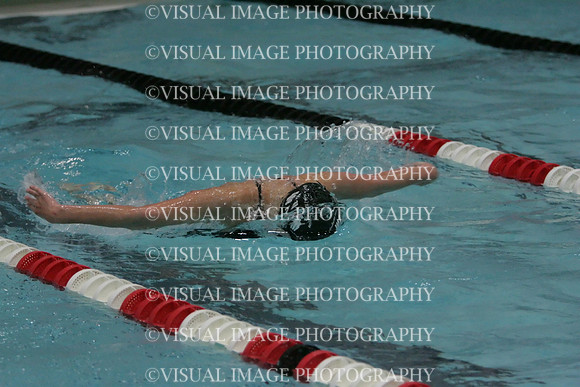 wiswg09_2imed_1014