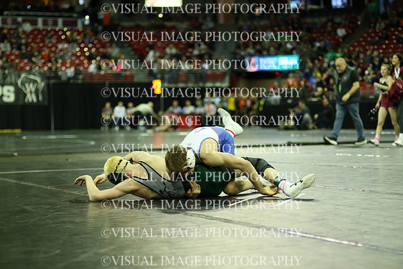 WIIWR25_106_C2012