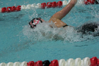 wiswg09_4frelay_2011