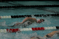 wiswg09_1free_1019
