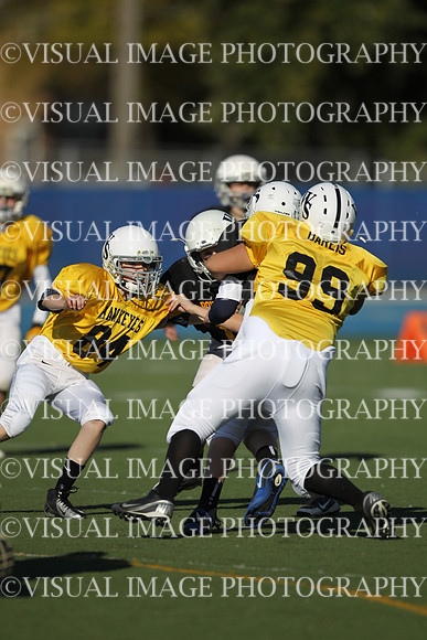 WSJFB_13_1020