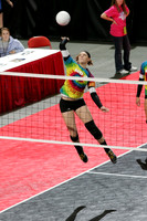 wisc_09_s11004