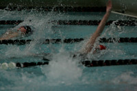 wiswg09_1back_2010