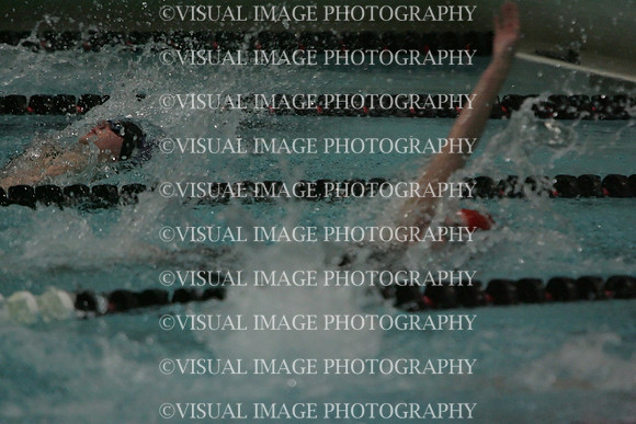 wiswg09_1back_2010