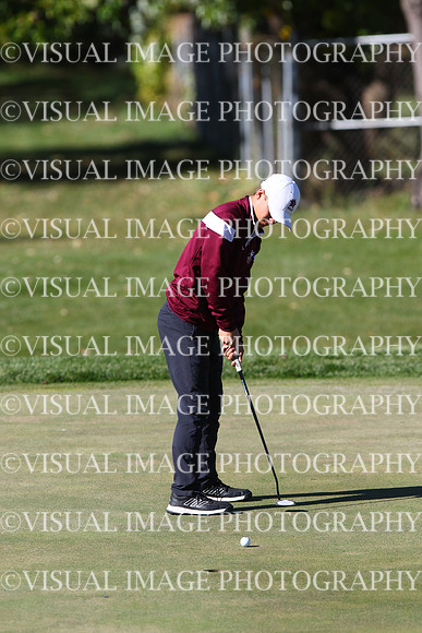 ILGF_24_T201011