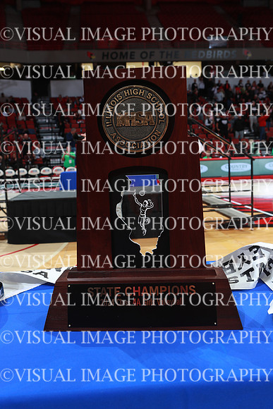 ILVBG_24_A41008