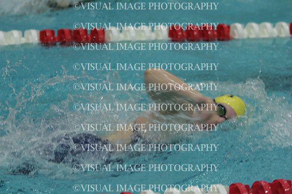 wiswg09_1free_1034
