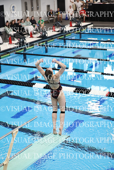 ILSWG24_DIVE_F0007