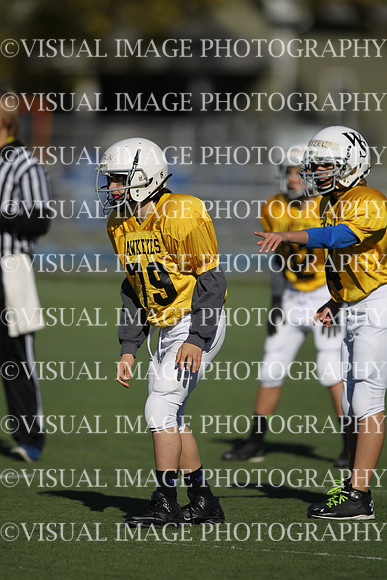 WSJFB_13_1016